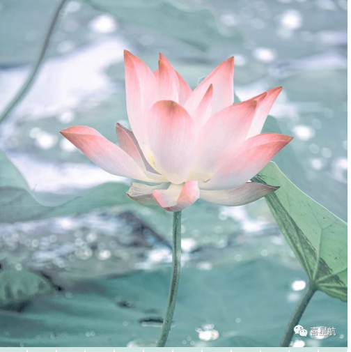定了！今年居民醫(yī)保繳費(fèi)標(biāo)準(zhǔn)每人每年350元！